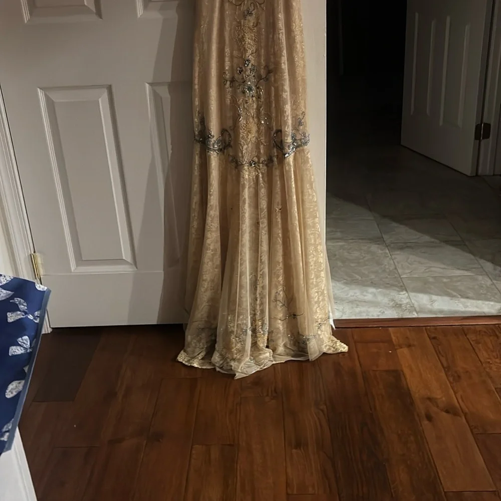 Sue Wong Elegant Cream Gown - Picture 9 of 9